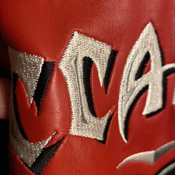 NFL game day Flax leather Tampa Bay Buccaneers jacket - Picture 5 of 10